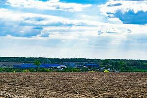 Photography on theme big empty farm field for organic harvest photo