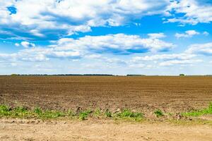 Photography on theme big empty farm field for organic harvest photo