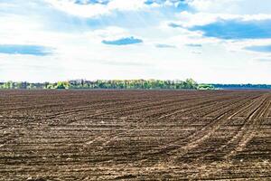 Photography on theme big empty farm field for organic harvest photo