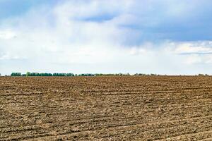 Photography on theme big empty farm field for organic harvest photo