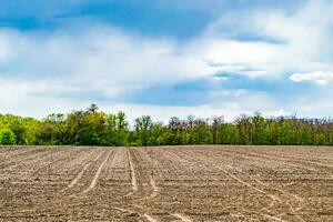 Photography on theme big empty farm field for organic harvest photo