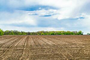 Photography on theme big empty farm field for organic harvest photo