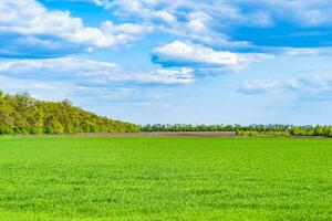 hermoso paisaje de horizonte en la pradera del pueblo sobre fondo natural de color foto