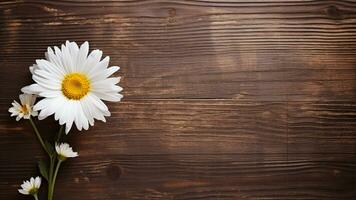 Daisy Flower on Wood Background with Copy Space, AI Generative photo