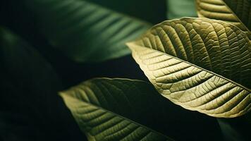 Luxury Leaf Texture Designs with Opulent Foliage Patterns, AI Generative photo