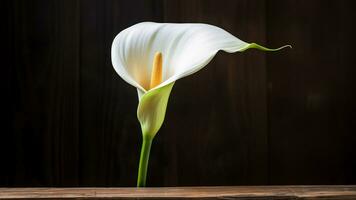 Calla Lily Flower on Wood Background with Copy Space, AI Generative photo