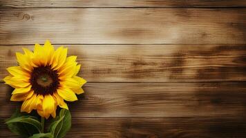Sunflower Helianthus on Wood Background with Copy Space, AI Generative photo