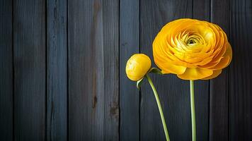 Ranunculus Flower on Wood Background with Copy Space, AI Generative photo