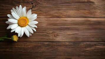 Daisy Flower on Wood Background with Copy Space, AI Generative photo