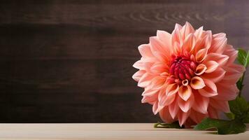 Beautiful Dahlia Flower on Wood Background with Copy Space, AI Generative photo