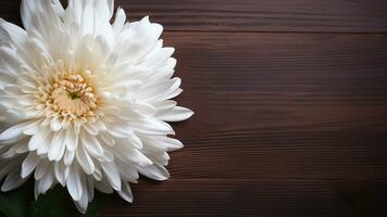 Chrysanthemum Flower on Wood Background with Copy Space, AI Generative photo