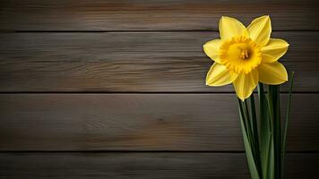 Daffodil Narcissus Flower on Wood Background with Copy Space, AI Generative photo