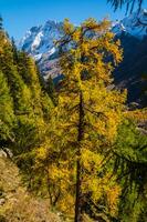 landscape of the Swiss Alps in autumn photo