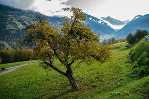 landscape of the Swiss Alps in autumn photo