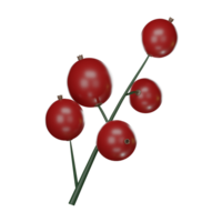 Merry Christmas holly berries on ilex branch, mistletoe icon in cartoon illustration isolated on transparent background PNG 3d rendering.