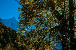 paisaje de el francés Alpes en otoño foto