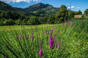 french alps landscape photo