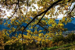 swiss alps landscape in autumn photo