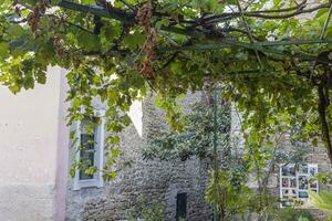 Picture from the town of Groznjan with idyllic cobbled streets and buildings made of natural stone photo