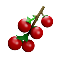 Christmas Holly Berry  AI Generative png