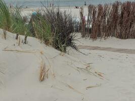 spiekeroog island in germany photo