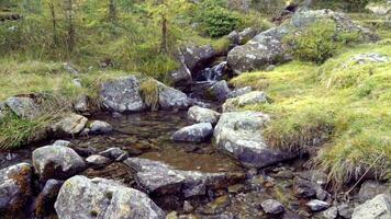 A small stream flows down the valley through nature in the Ultental valley, South Tyrol, Italy video