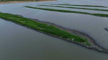 aerial view of Drought hit Lake Limboto, Gorontalo, Indonesia video