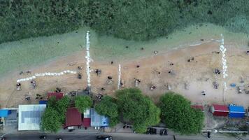 antenn se av människor badning i de Sol, simning, och spelar spel på de strand. topp se från Drönare på strand och azurblå hav video