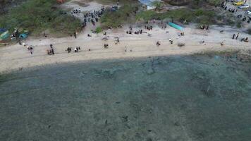 aérien vue de gens baignade dans le soleil, natation, et en jouant Jeux sur le plage. Haut vue de drone à plage et Azur mer video