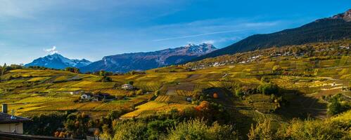 swiss alps landscape in autumn photo