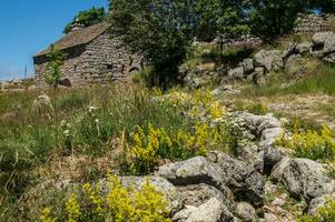 cevennes national park photo