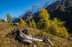 landscape of the Swiss Alps in autumn photo