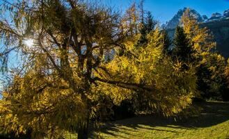 landscape of the french alps in autumn photo