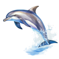 Dolphin jumping cutout, AI Generative png