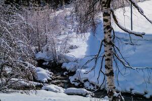 winter landscape in the french alps photo