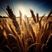 dorado cereal plantas disfrutar en vibrante luz de sol generado por ai foto