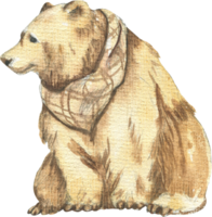 Drawing of a sitting bear in watercolor png