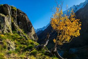 landscape of the Swiss Alps in autumn photo