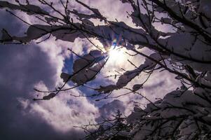 winter landscape in the french alps photo