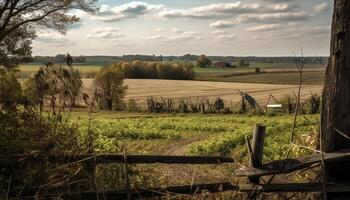 Green meadow, rustic fence, tranquil sunsets, idyllic beauty generated by AI photo