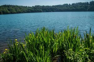 park naturel regional des volcans d'auvergne photo