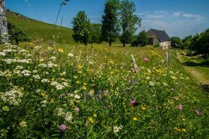 park naturel regional des volcans d'auvergne photo