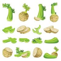 Celery icons set cartoon vector. Food healthy stalk vector