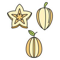 carambola estrella Fruta íconos conjunto vector color