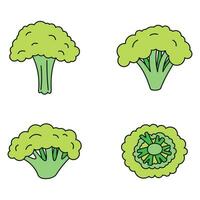 Broccoli plant icon set vector color