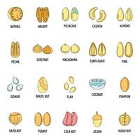 Nut types with signed names icons set vector color