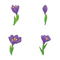 Spring crocus icons set cartoon vector. Bright spring flower vector