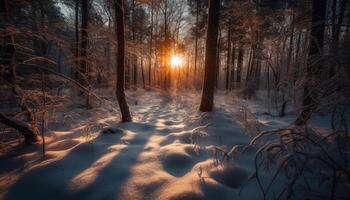 Tranquil forest footpath, back lit by sunrise, frozen in winter generated by AI photo