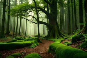 un camino mediante un bosque con cubierto de musgo arboles generado por ai foto