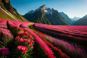 un campo de rosado flores en frente de montañas. generado por ai foto